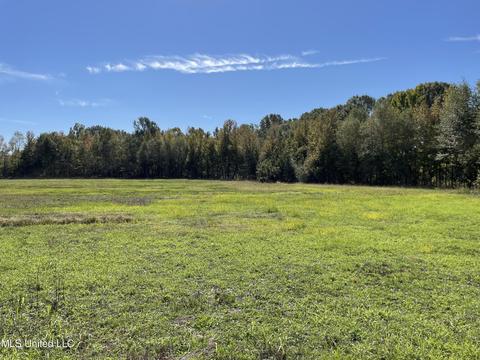 155 Hanks Trl, Flora, MS 39071 photo 11