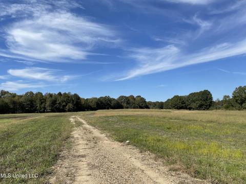 155 Hanks Trl, Flora, MS 39071 photo 3