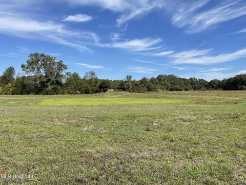 155 Hanks Trl, Flora, MS 39071 photo 6