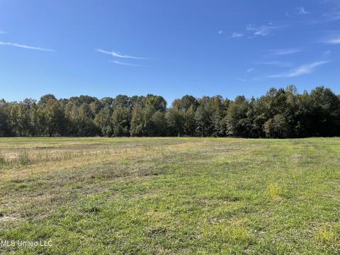 155 Hanks Trl, Flora, MS 39071 photo 8