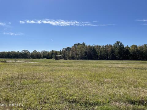155 Hanks Trl, Flora, MS 39071 photo 5