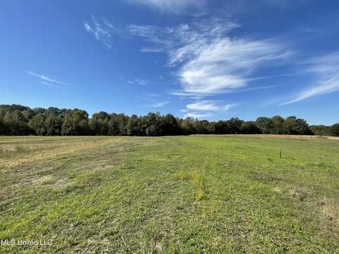 155 Hanks Trl, Flora, MS 39071 photo 7