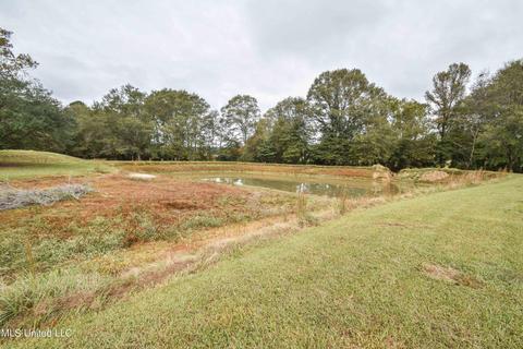 1385 Carroll Dr, Terry, MS 39170 photo 45