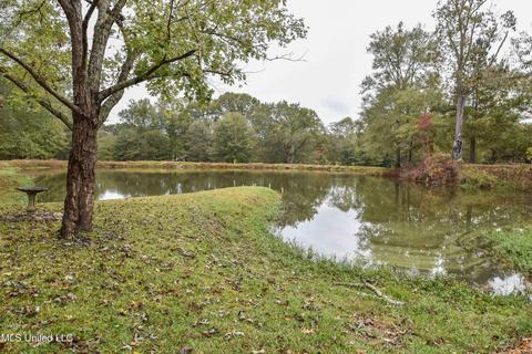 1385 Carroll Dr, Terry, MS 39170 photo 42
