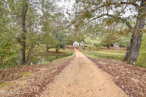 1385 Carroll Dr, Terry, MS 39170 photo 43