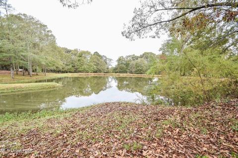 1385 Carroll Dr, Terry, MS 39170 photo 38