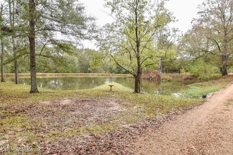 1385 Carroll Dr, Terry, MS 39170 photo 41