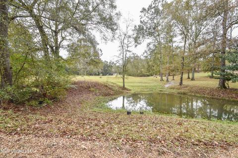 1385 Carroll Dr, Terry, MS 39170 photo 39
