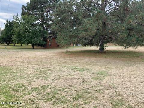 3 Deerfield Dr, Madison, MS 39110 photo 30
