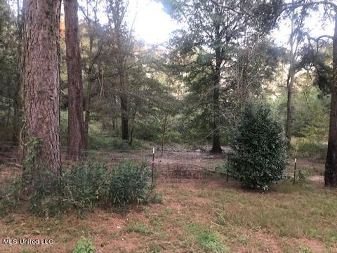 2350 Scr 114, Magee, MS 39111 photo 6
