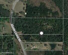 18 62 Acre Alcede-lizana Rd, Gulfport, MS 39503