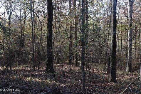 0 Timber Crk, Byram, MS 39272 photo 7