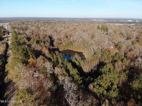 0 Timber Crk, Byram, MS 39272 photo 5