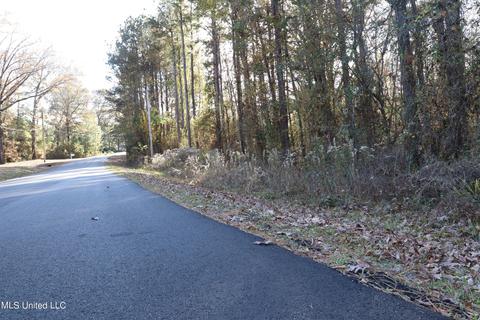 0 Timber Crk, Byram, MS 39272 photo 13
