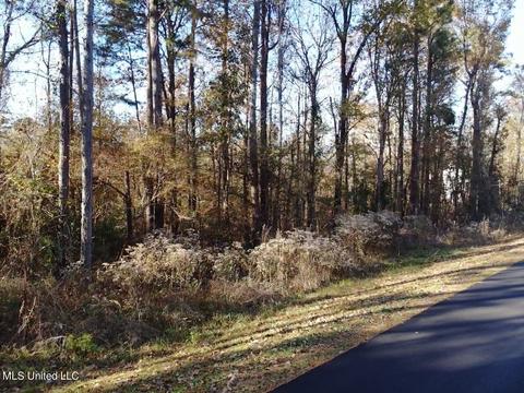 0 Timber Crk, Byram, MS 39272 photo 3