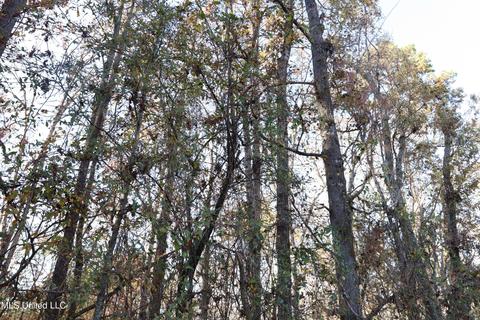 0 Timber Crk, Byram, MS 39272 photo 11