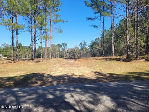 46 Presley Dr, Wiggins, MS 39577 photo 7