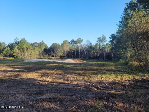 46 Presley Dr, Wiggins, MS 39577 photo 5