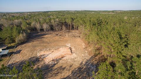 46 Presley Dr, Wiggins, MS 39577 photo 3