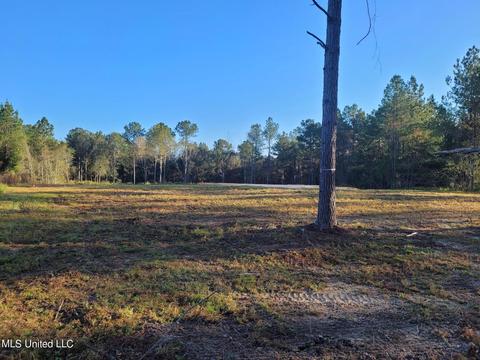 46 Presley Dr, Wiggins, MS 39577 photo 2