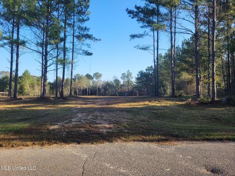 46 Presley Dr, Wiggins, MS 39577 photo 4