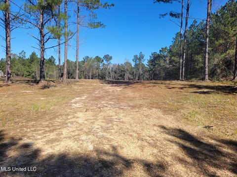 46 Presley Dr, Wiggins, MS 39577 photo 1