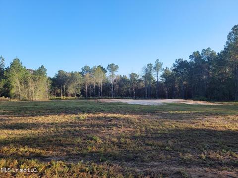 46 Presley Dr, Wiggins, MS 39577 photo 6