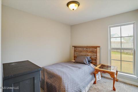 94 Antler Cv, Terry, MS 39170 photo 21