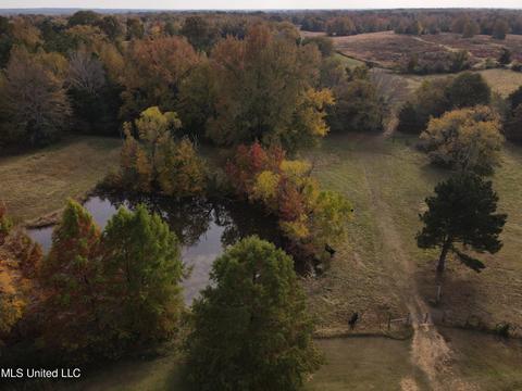 10472 Peyton Rd, Coldwater, MS 38618 photo 11