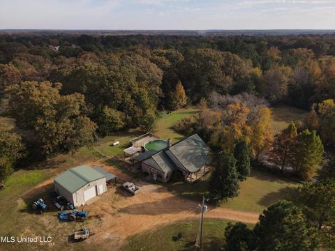 10472 Peyton Rd, Coldwater, MS 38618 photo 1