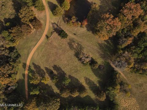10472 Peyton Rd, Coldwater, MS 38618 photo 14