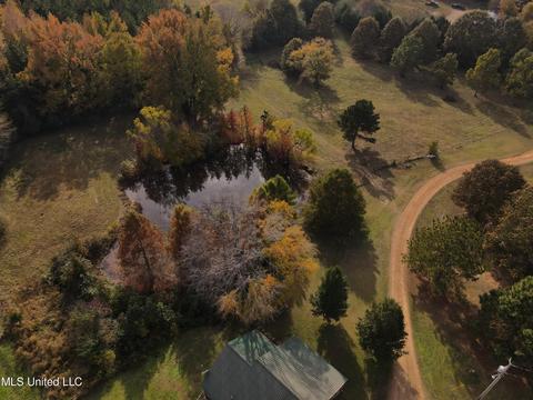 10472 Peyton Rd, Coldwater, MS 38618 photo 17