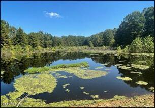 1175 Delancey Rd, Benton, MS 39039 photo 11