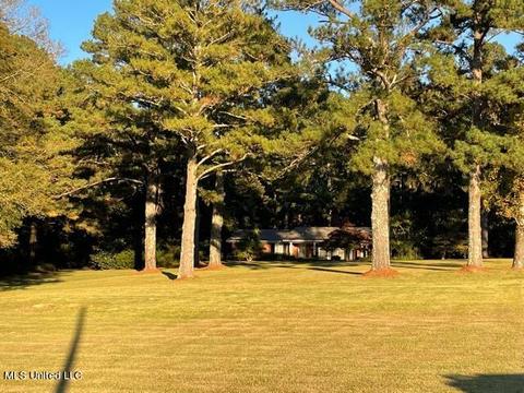 1773 Old Highway 21, Forest, MS 39074 photo 4