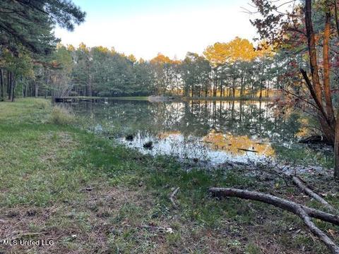 1773 Old Highway 21, Forest, MS 39074 photo 22