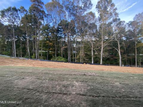 131 Michel St, Brandon, MS 39042 photo 20