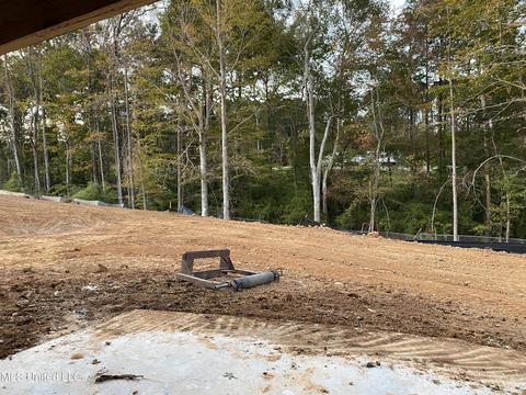 133 Michel St, Brandon, MS 39042 photo 20