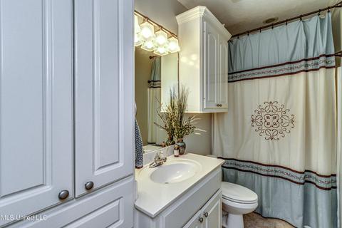 1108 Ellington Ct, Brandon, MS 39042 photo 41