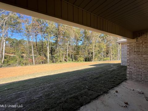 127 Michel St, Brandon, MS 39042 photo 23