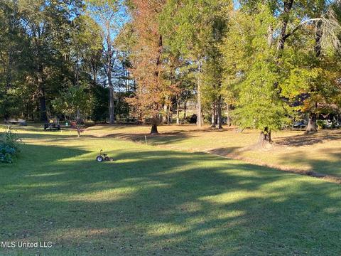 413 E Petros Rd, Pearl, MS 39208 photo 25