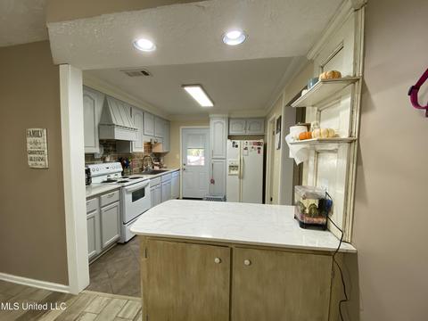 413 E Petros Rd, Pearl, MS 39208 photo 7