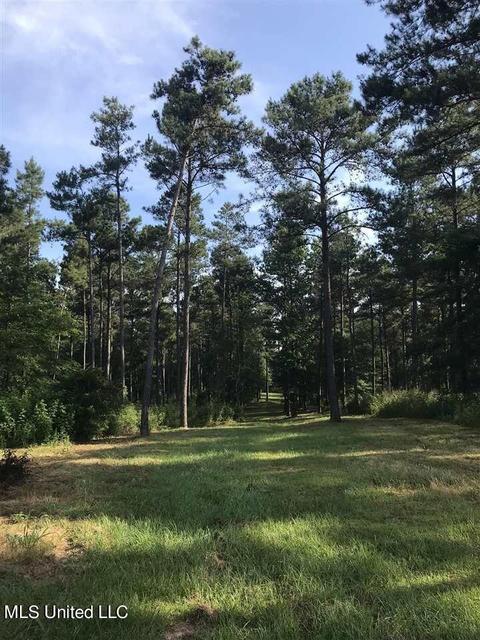 812 Scr 50a, Mize, MS 39116 photo 19