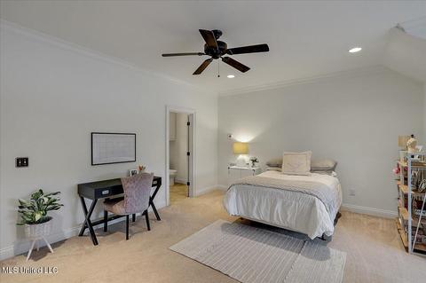 146 Mullherrin Dr, Madison, MS 39110 photo 34
