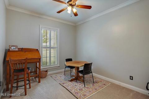 146 Mullherrin Dr, Madison, MS 39110 photo 33