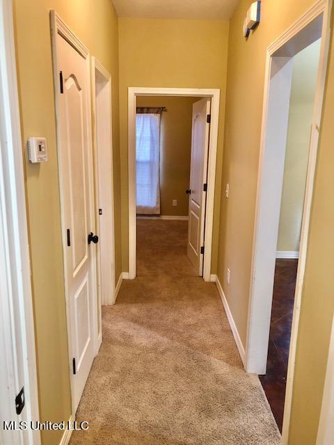 240 Jacks Pl, Brandon, MS 39047 photo 16