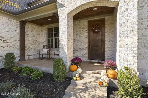 4291 E Lundy Bnd, Olive Branch, MS 38654 photo 4