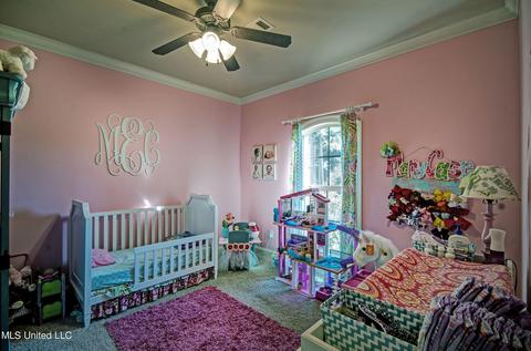 106 Hemlock Ln, Madison, MS 39110 photo 21