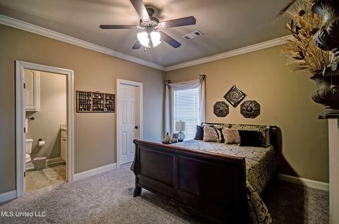 106 Hemlock Ln, Madison, MS 39110 photo 23