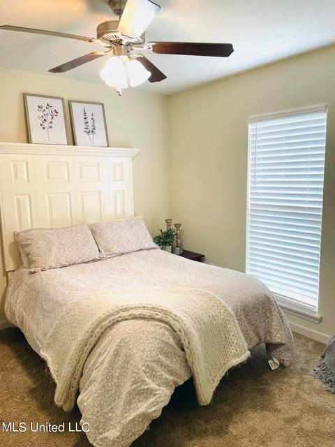 714 Sawgrass Lakes Dr, Brandon, MS 39042 photo 15