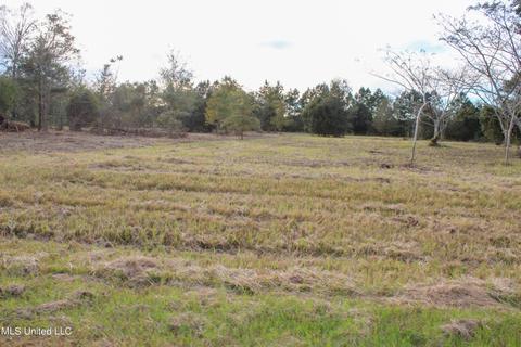 Misty Lane, Lucedale, MS 39452